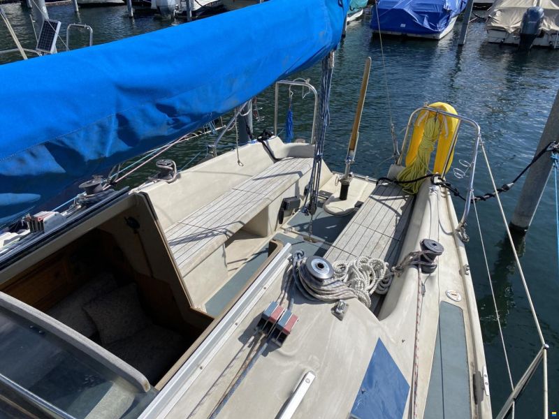 Dehler 25