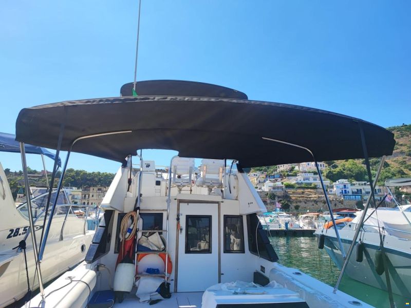 Phoenix 29 SF CONVERTIBLE