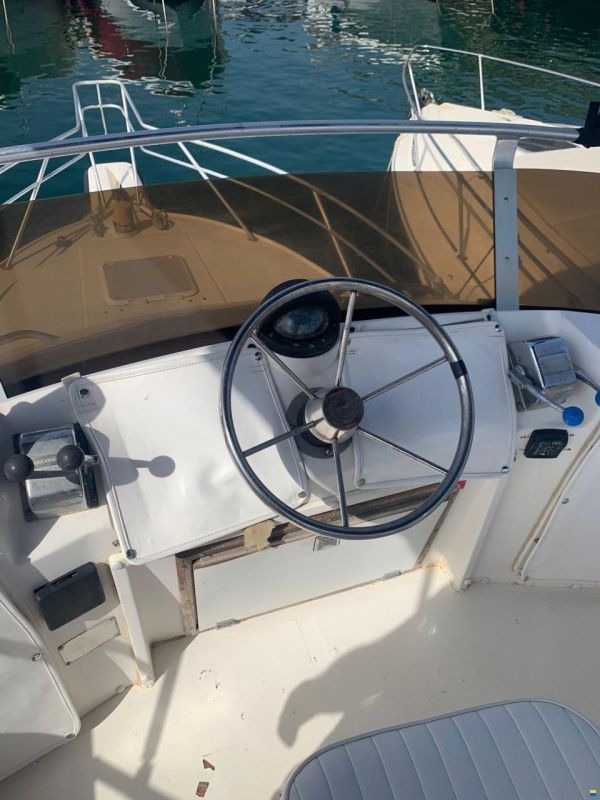 Phoenix 29 SF CONVERTIBLE