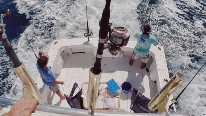 Apex Yachts Quepos 350