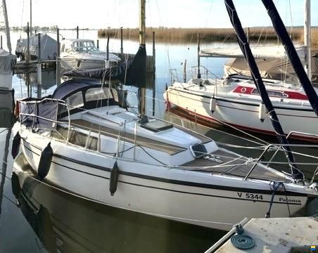 Neptun 26
