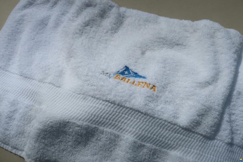 Swiss Craft Halbkabine 6.50 m