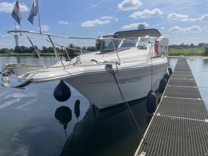 Sea Ray 310 Sundancer
