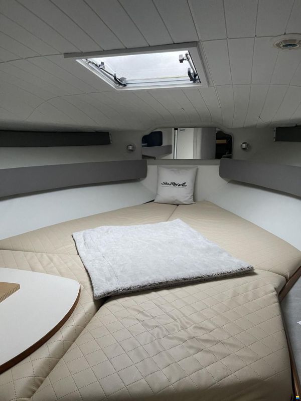 Sea Ray 310 Sundancer