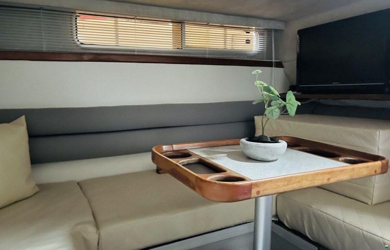 Sea Ray 310 Sundancer