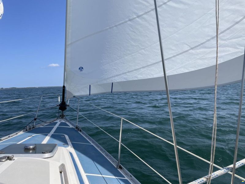 Dynamic 43