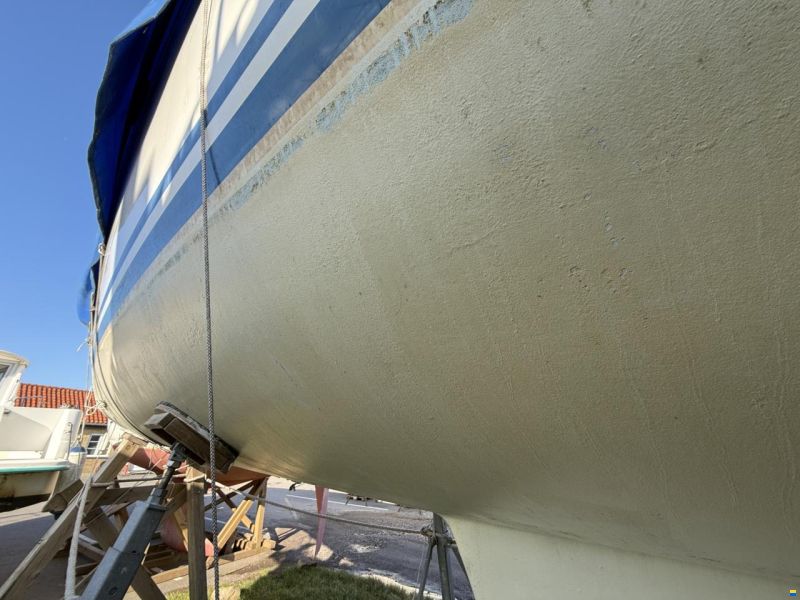 Dynamic 43