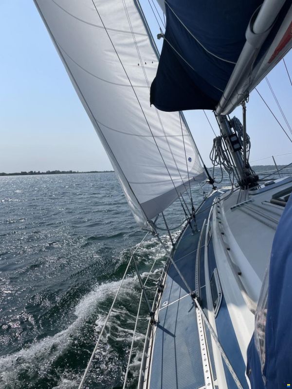 Dynamic 43