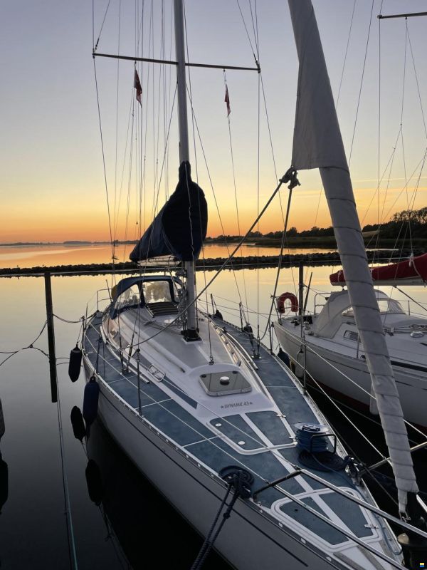 Dynamic 43