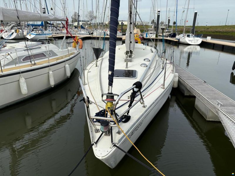 Albin Marine Scampi 30