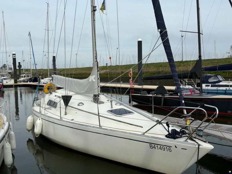 Albin Marine Scampi 30