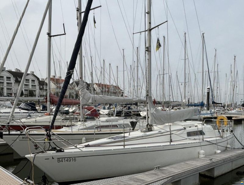 Albin Marine Scampi 30