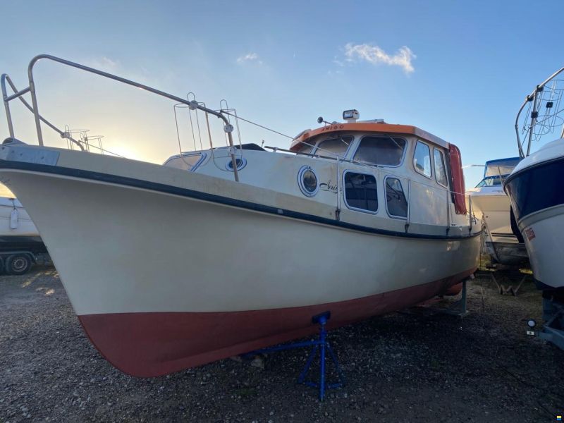Starlet 26