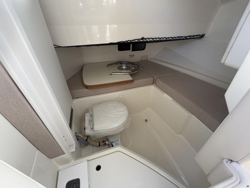 Sea Ray 250 SDXE
