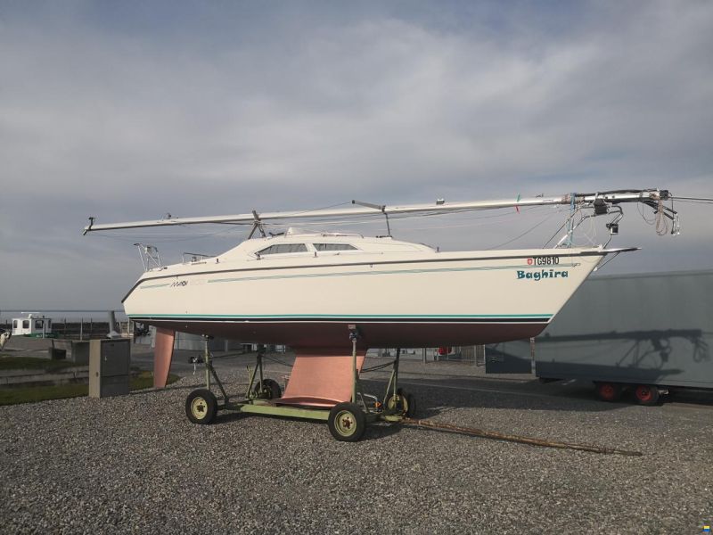 Nimbus Maxi 800