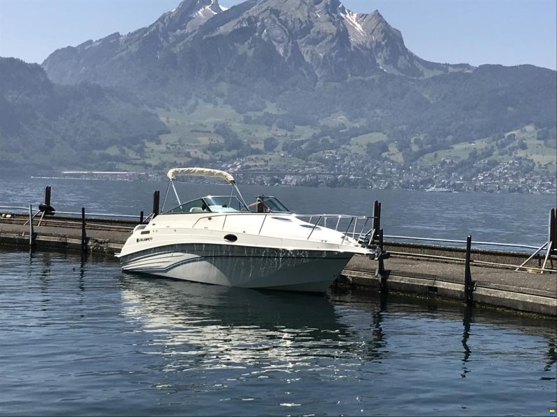 Celebrity 265 Sport Cruiser