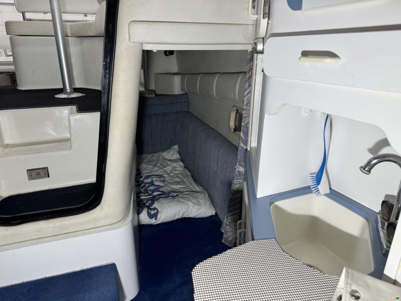 Celebrity 265 Sport Cruiser