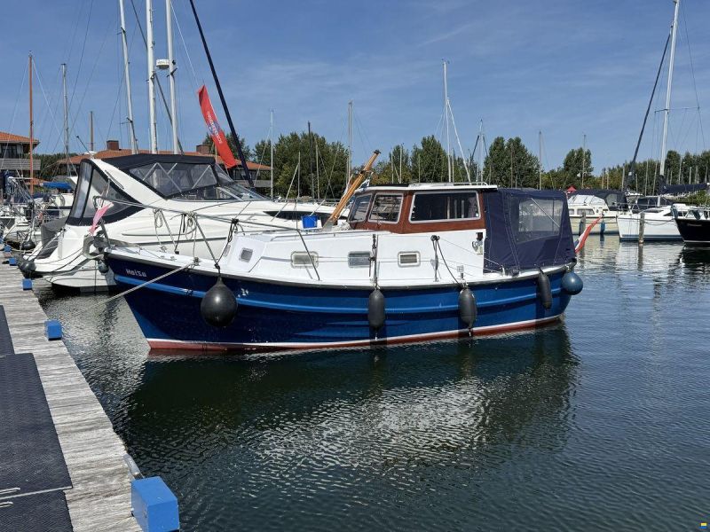 Polymore 770