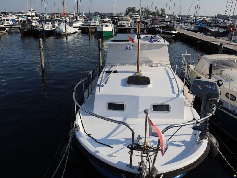 Polymore 770