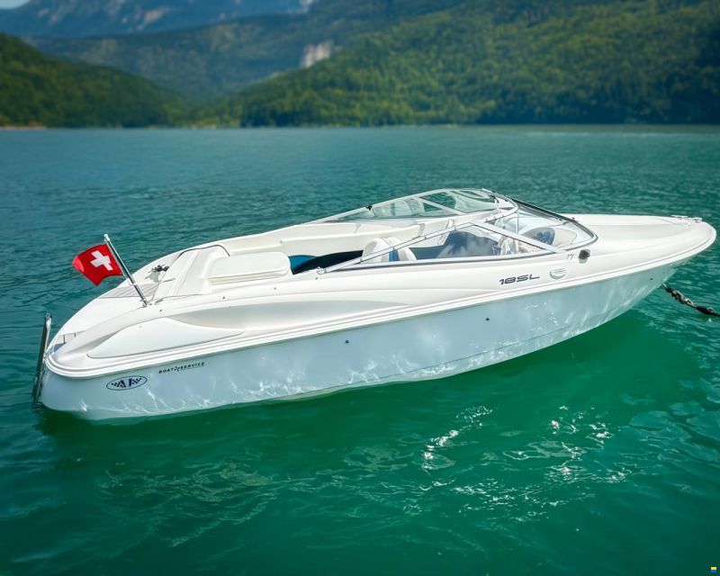 Wellcraft 18 SL DayCruiser