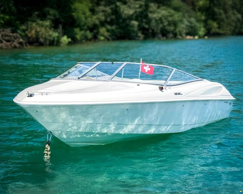 Wellcraft 18 SL DayCruiser