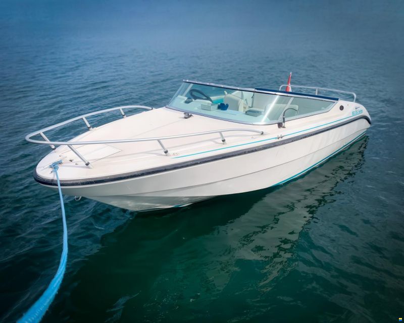 Rio Iberica 550 Spring