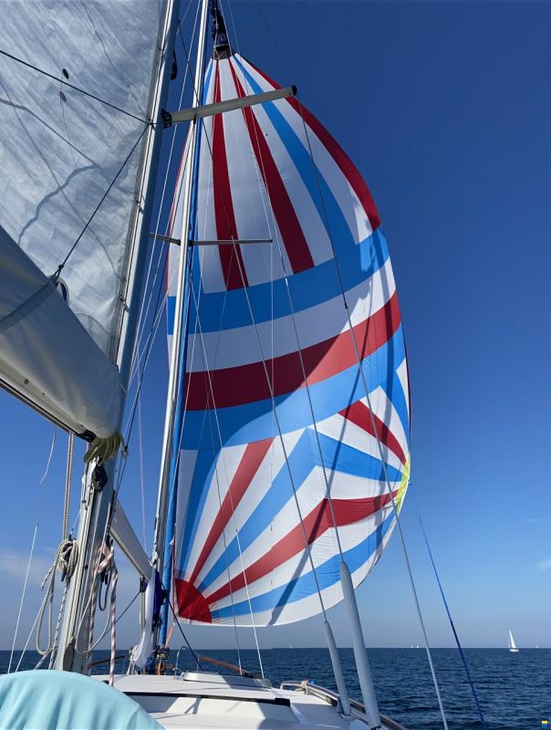 NAUTICAT 331
