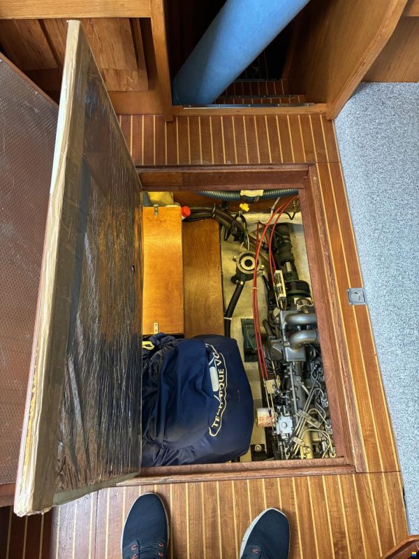 NAUTICAT 331