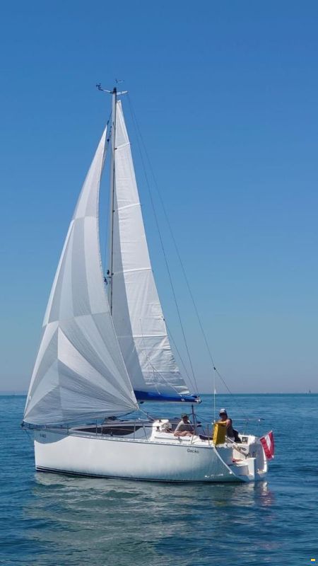 Janmor Numo 25 Sails
