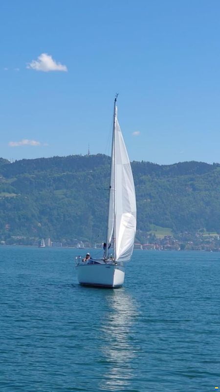 Janmor Numo 25 Sails