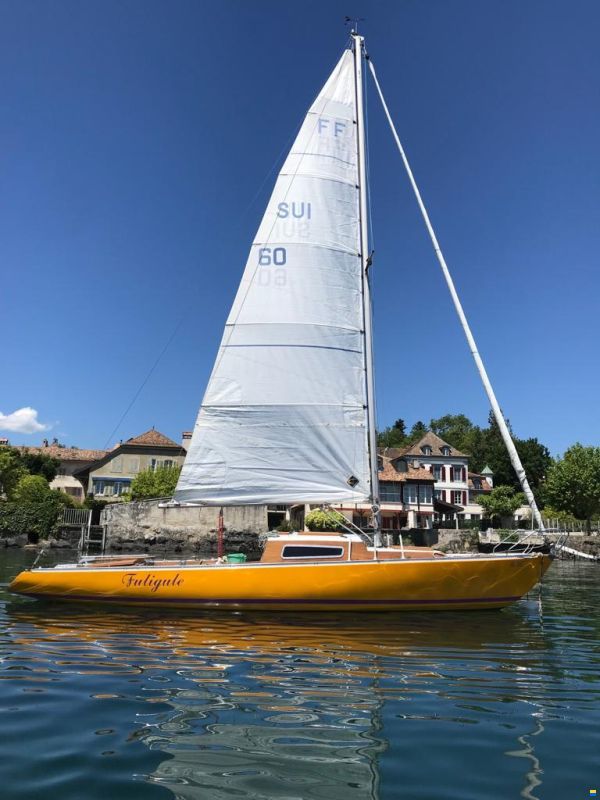 Luthi René Flying Forty