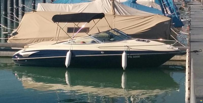 Viper V 203