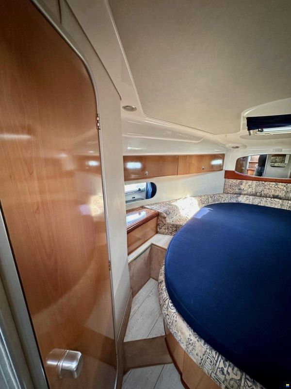 Sealine S37