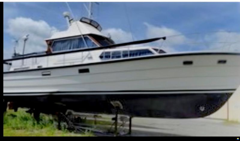 Condor Comtess Fly 44