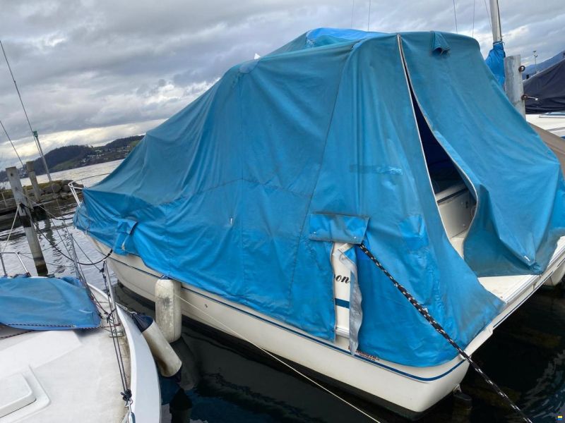 Gobbi 31 Cabin