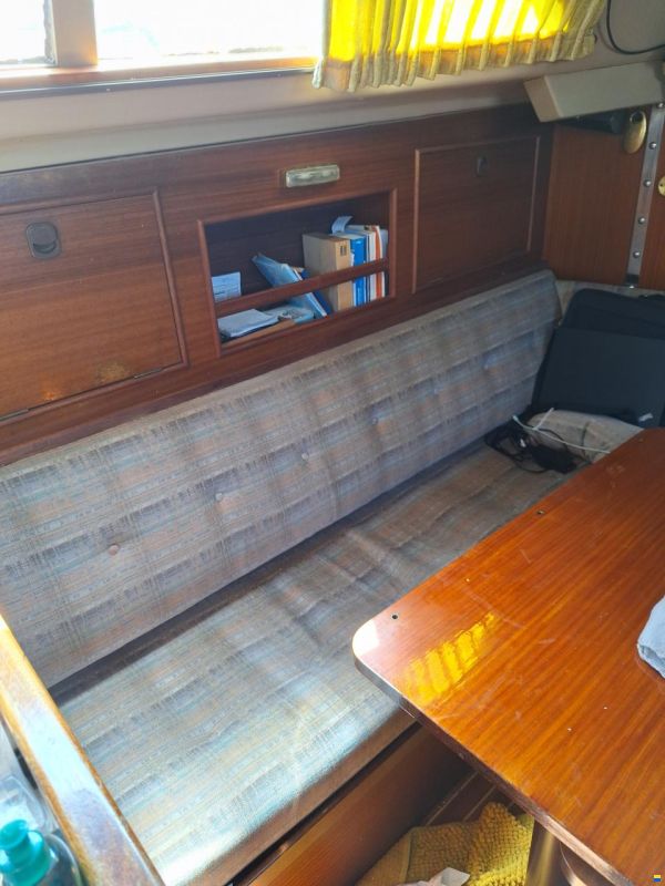 Van de Stadt Dheler optima98