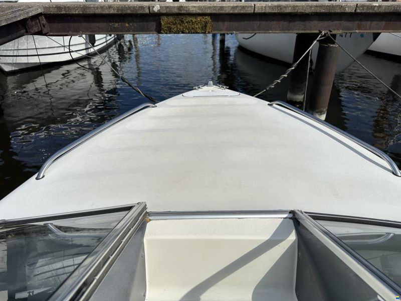 Stingray 558