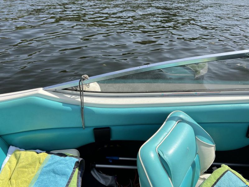 Stingray 558