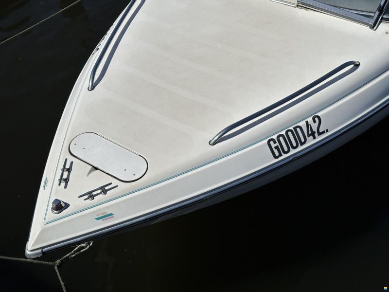 Stingray 558