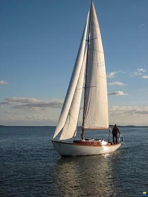 Tore Holm Johanna