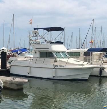 Goymar 800 Fly