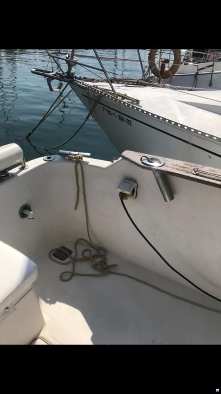 Goymar 800 Fly