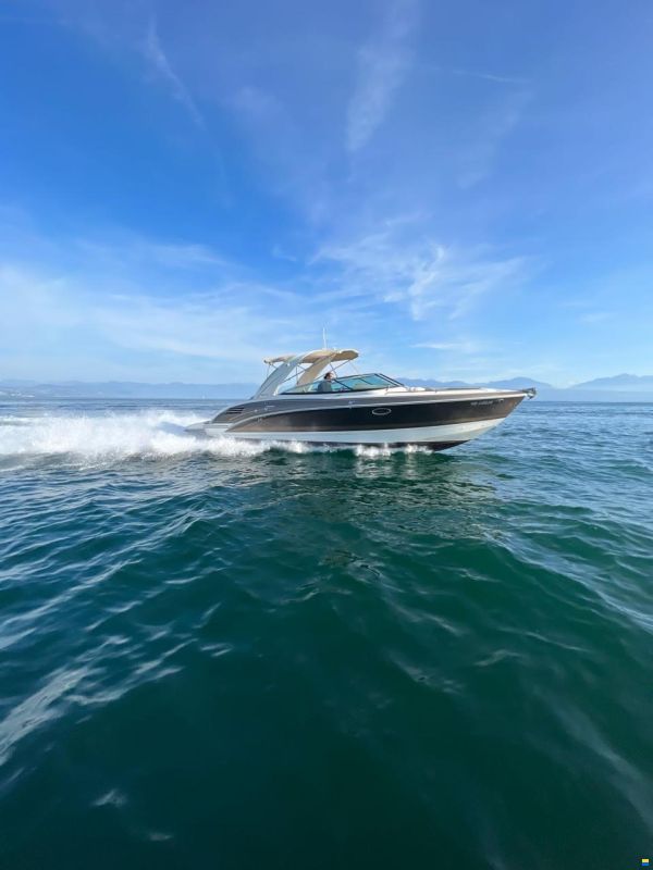 Formula BR 290