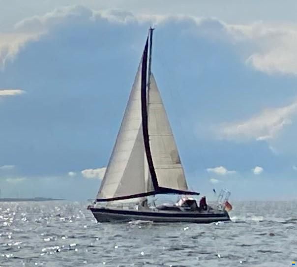 Alubat Sonate Ovni 40