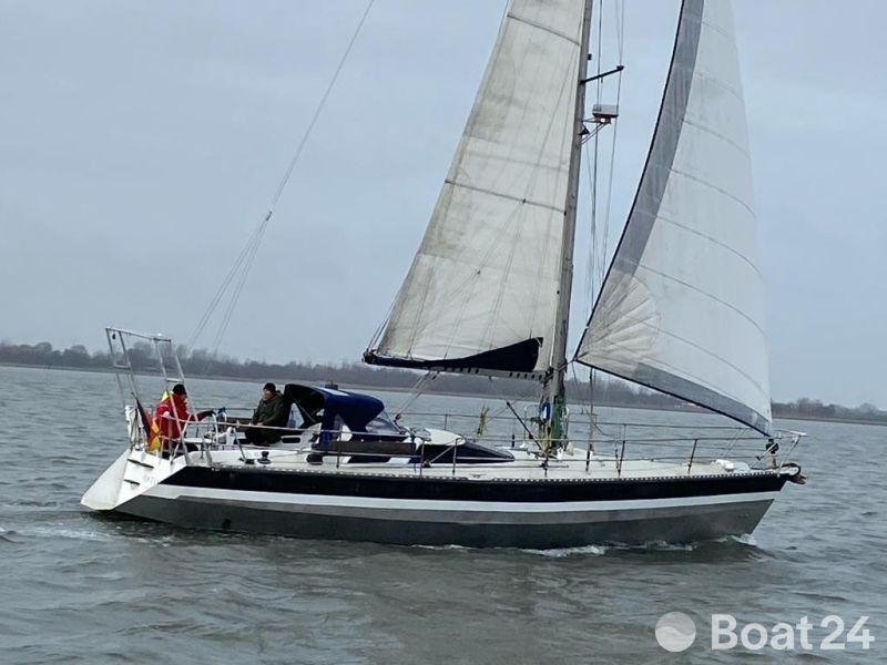 Alubat Sonate Ovni 40