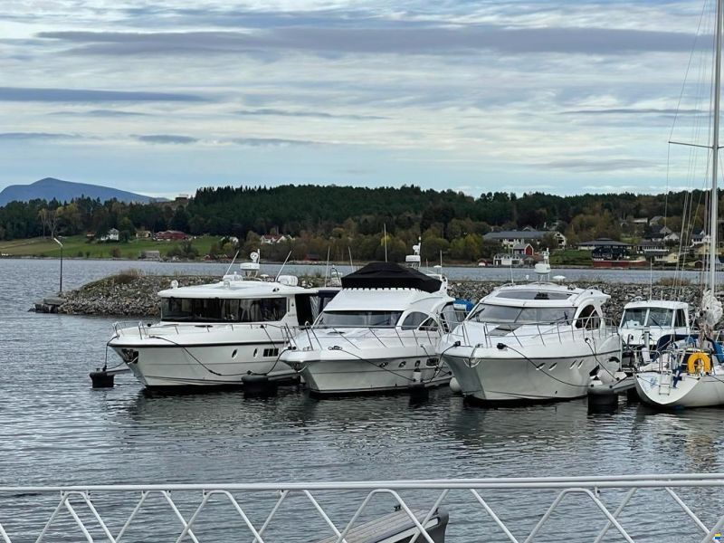 Skorgenes Bahama 42