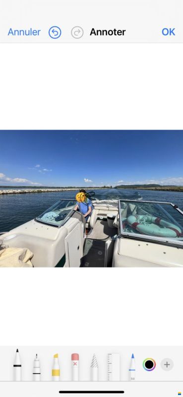 Crownline 266 BR 350 heures