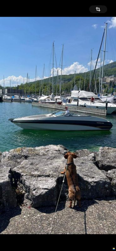 Crownline 266 BR 350 heures