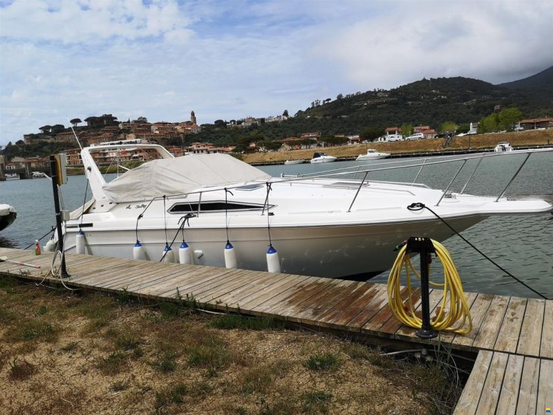 Sea Ray 290 DA