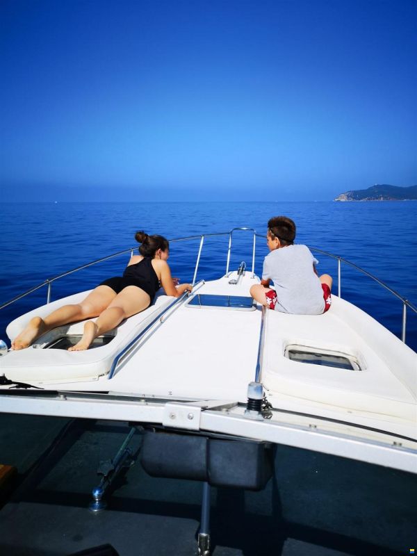 Sea Ray 290 DA